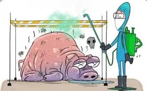 4.Disease prevention and control: prevention first, keep the bottom line
Epidemics can wipe out a farm, so prevention is key: